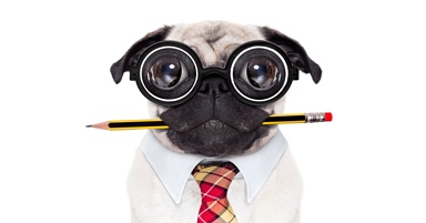 10 Examples Of Social Media Celebrity Endorsements That Paid Off Big Time
