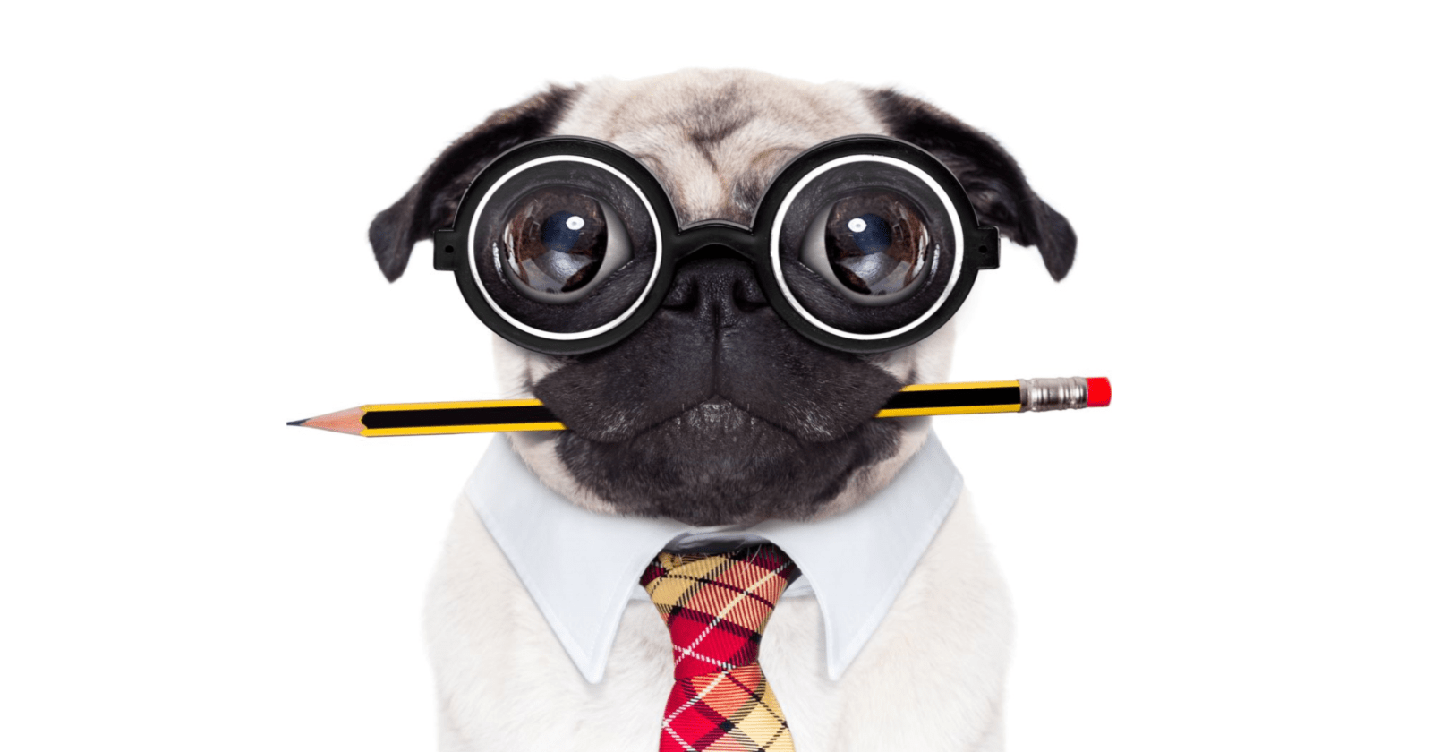 A Technical SEO Checklist for the Non-Technical Marketer