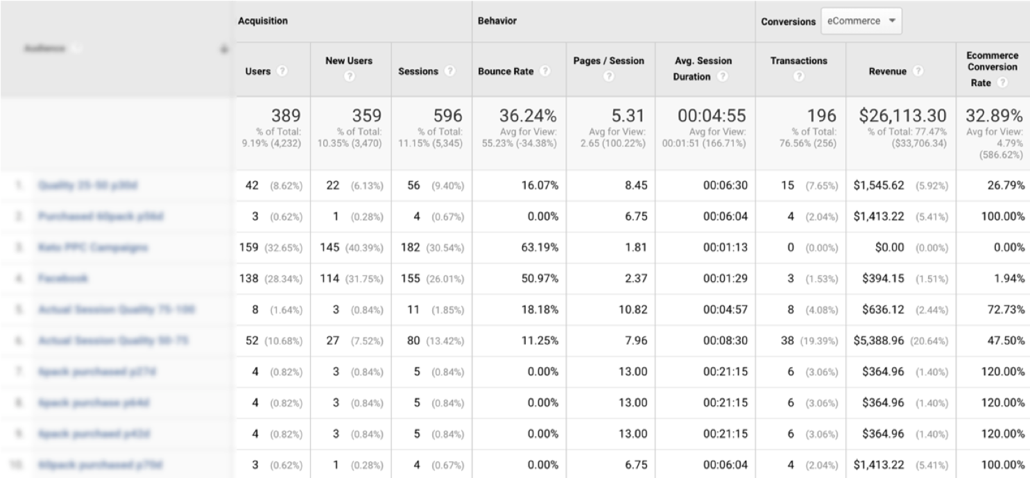 Google Analytics Audience Report