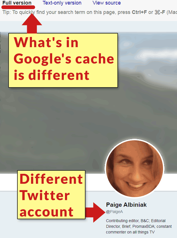 Screenshot of Google's cache for Twitter