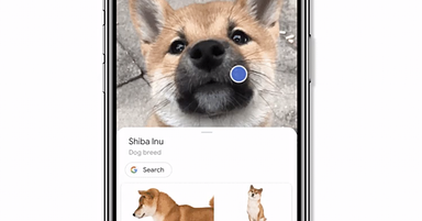 Google Brings Google Lens Visual Search to its iOS App