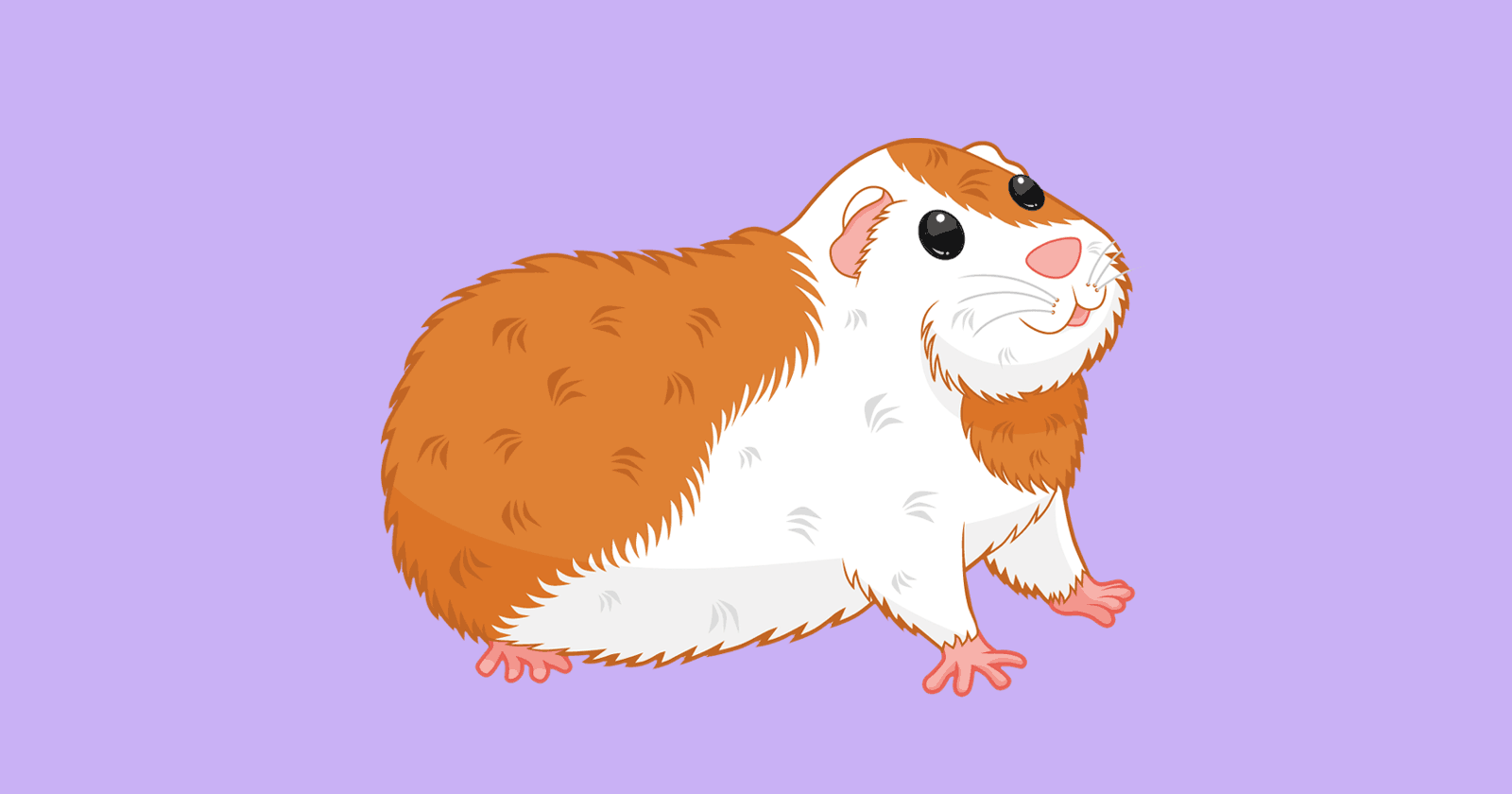 Image of a guinea pig, a metaphor for those who use the first versions of any product