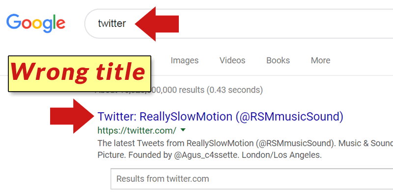 Screenshot of Google's search result for the phrase, Twitter.