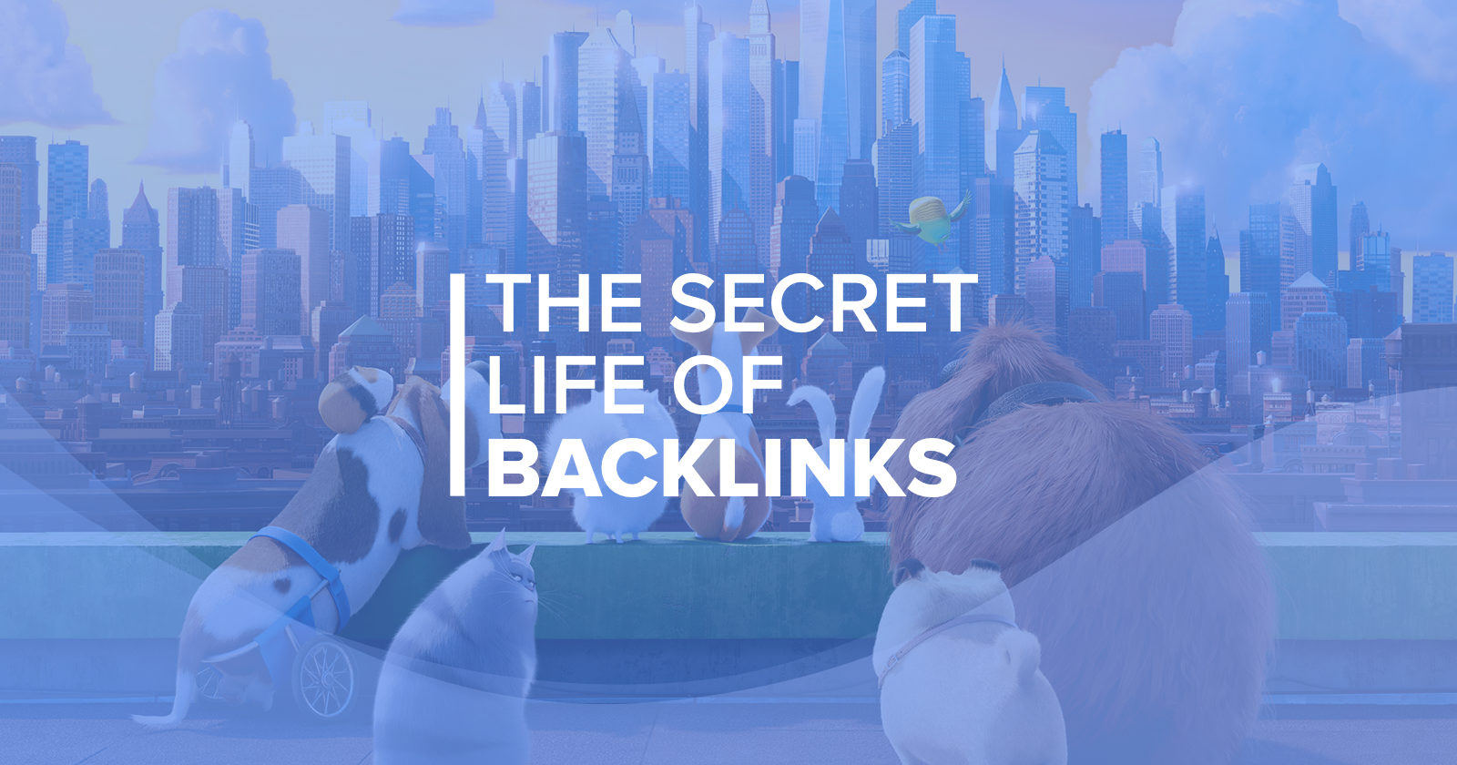 The Secret Life of Backlinks