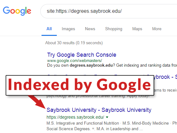 Screenshot of a Google search result demonstrating that Google indexed a page featuring an HTML error that prevented Google from reading the noindex directive.