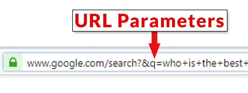 Screenshot of a browser URL bar showing an example of what a URL Parameter is. It's generally whatever comes after a question mark in the URL