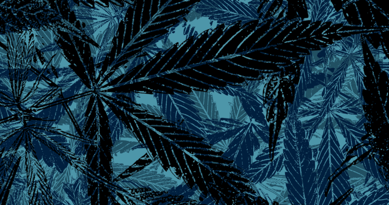 How to Grow Your Cannabis Brand with Digital Marketing