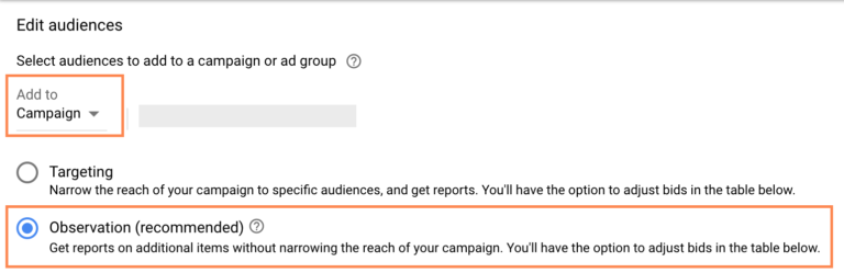 Google Ads - Observation Audience