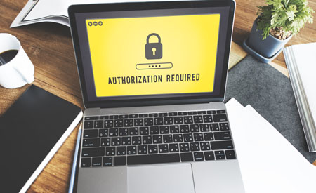 Rede Privada de Blogs (PBN)