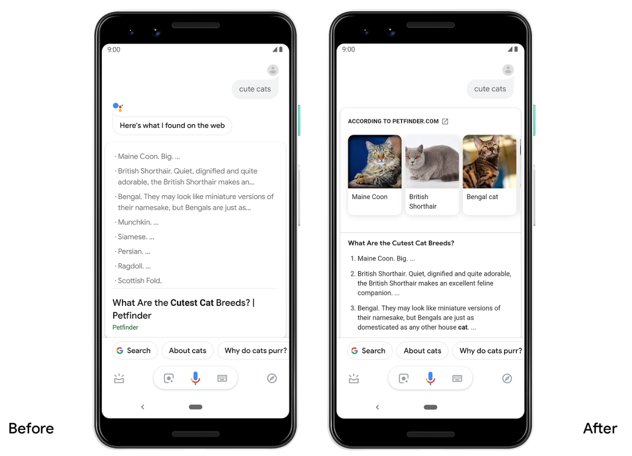 Google Assistant to Return More Detailed Search Results on Android