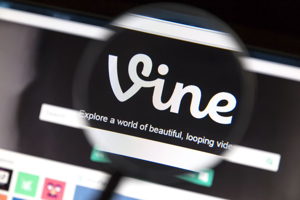 Vine