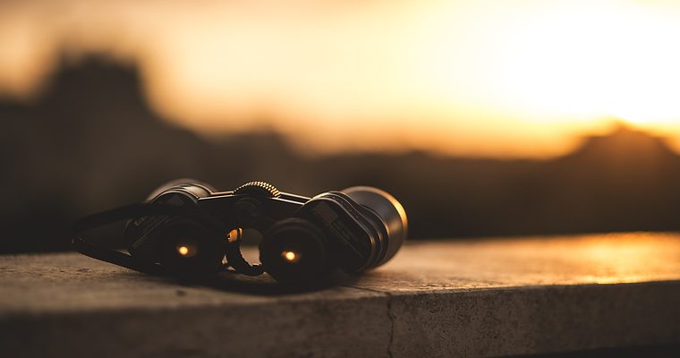 4 Actionable Strategies for Using Audience Insights Tools