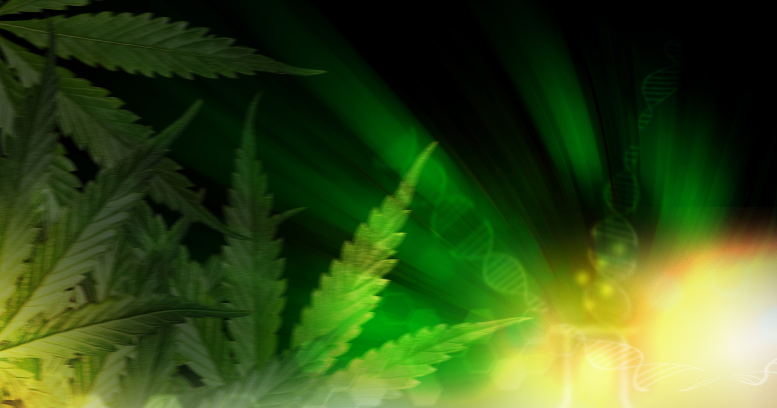 How to Rank Cannabis Content: An SEO Deep Dive