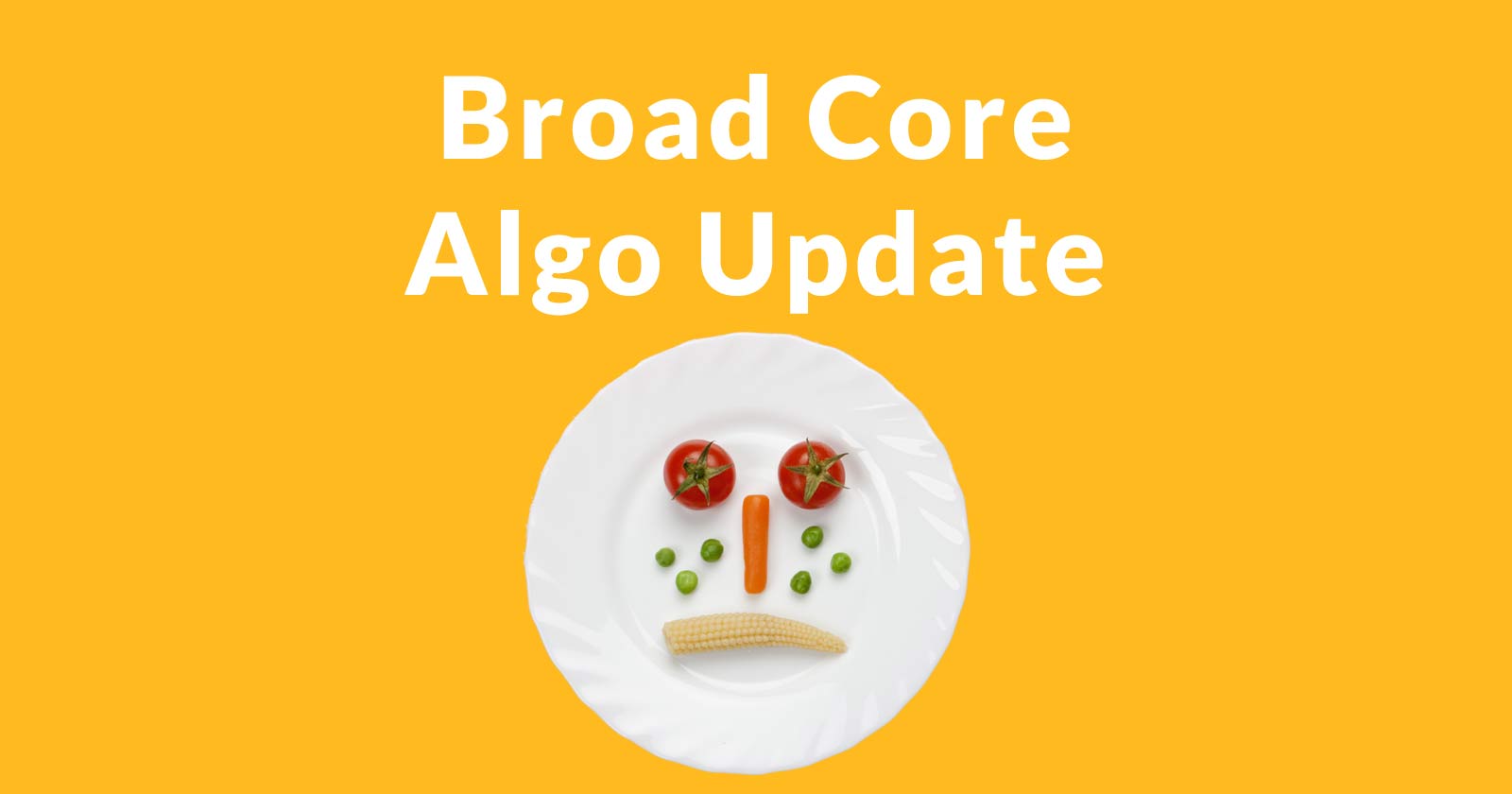 Image of a plate of food with the words Broad Core Algo Update written above it.