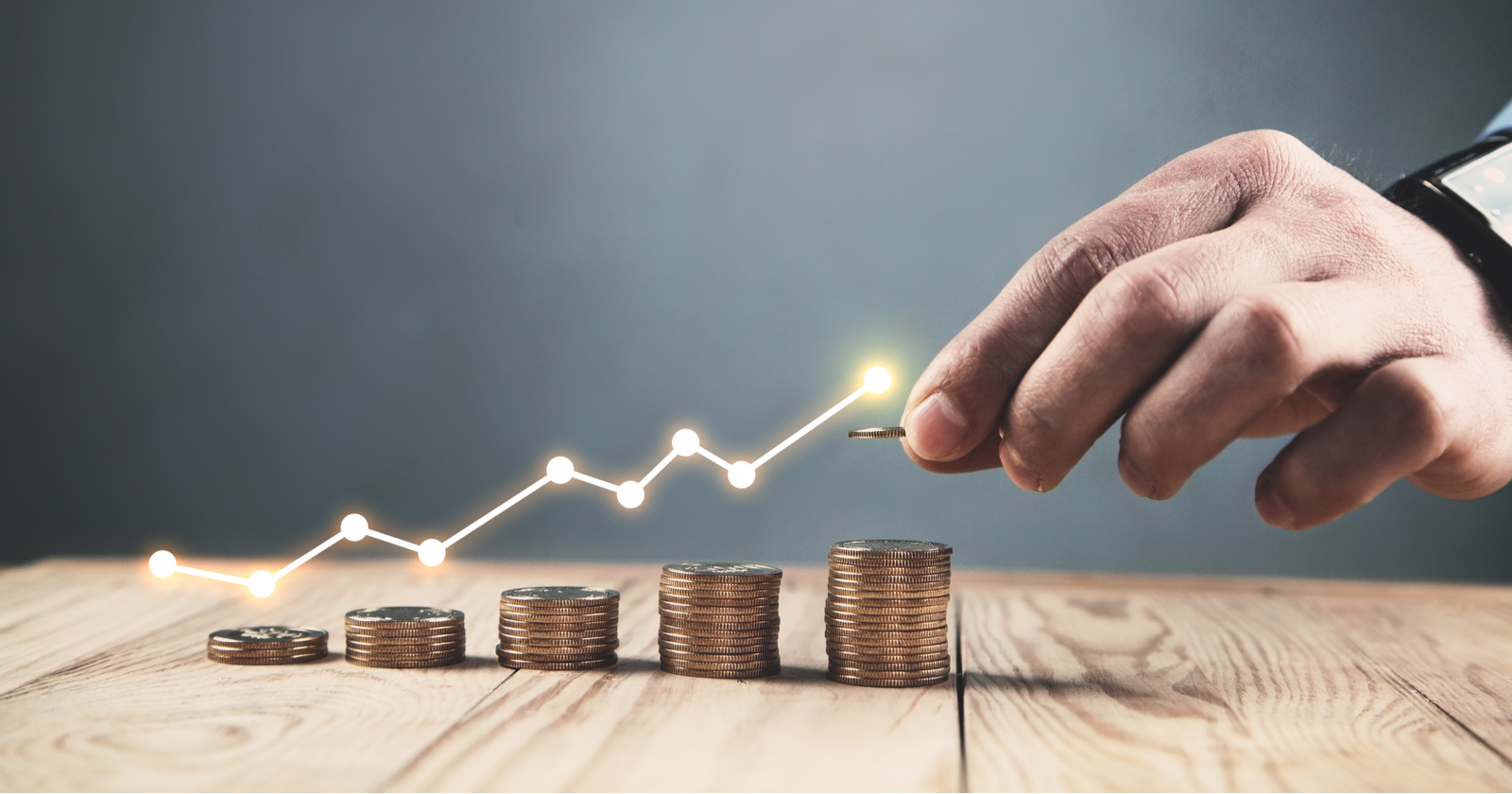 Profit-Driven PPC Management in Practice