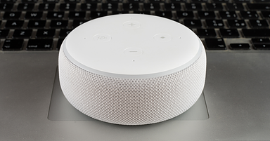 Online Shopping via Smart Speakers is Growing Faster Than Expected [REPORT]
