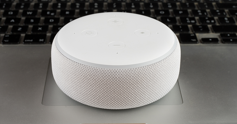 Online Shopping via Smart Speakers is Growing Faster Than Expected [REPORT]