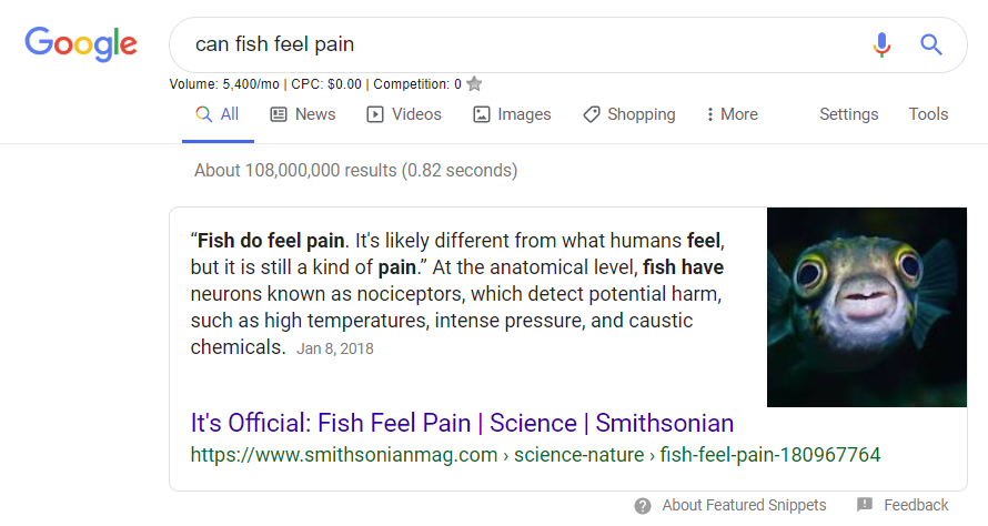 Can fish feel pain?