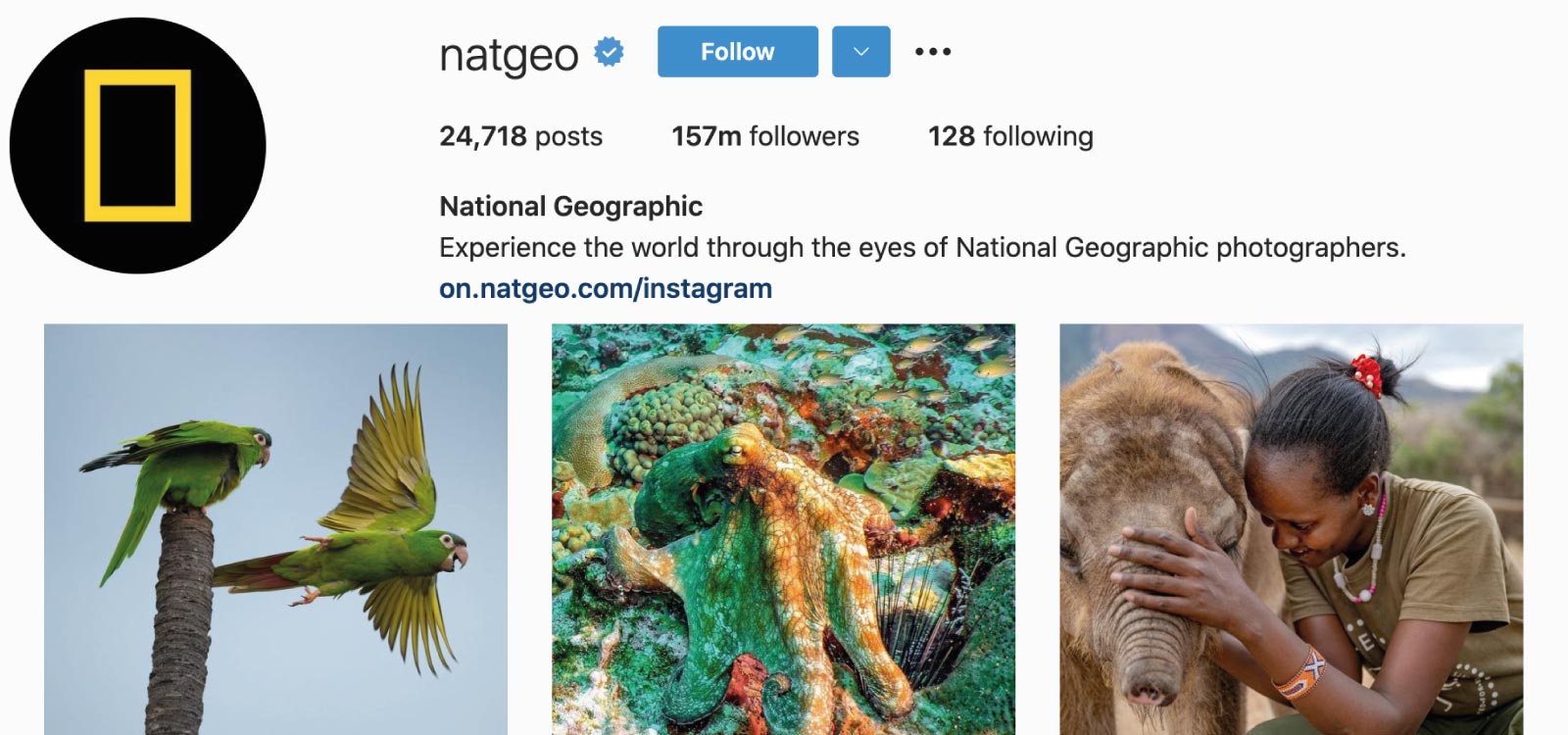 Instagram Statistics and facts - National Geographic