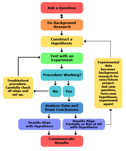 scientific process visualization