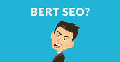 Google BERT Misinformation Challenged