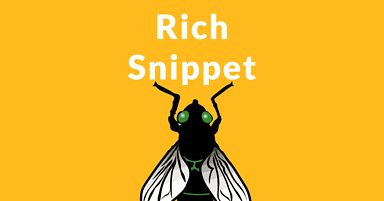 Google Rich Snippets Image Bug Returns