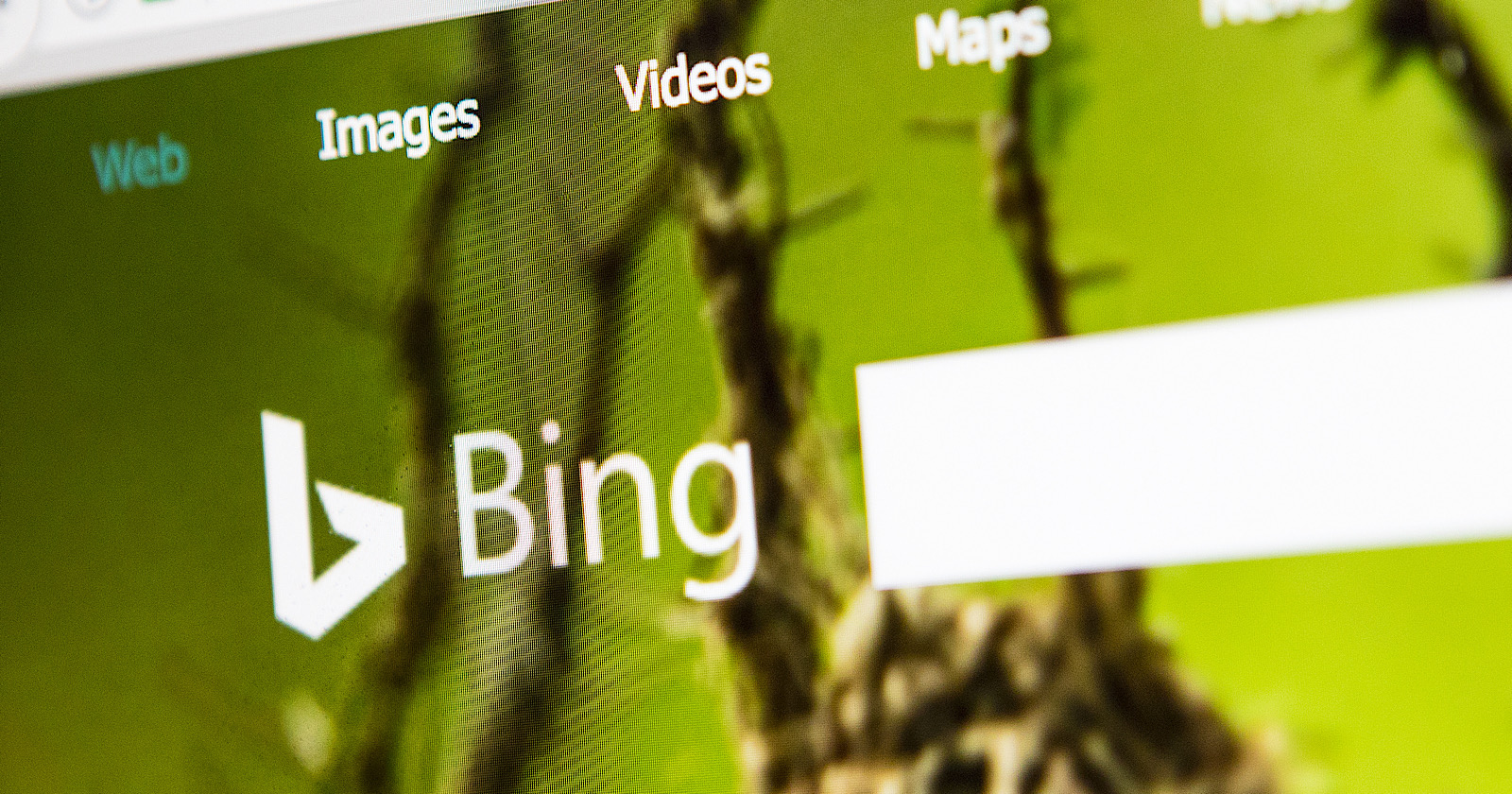 Bing Improves Image Search With Better Understanding of User Queries