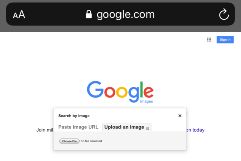 Reverse Image Search: Everything You Need To Know