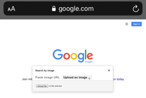 Here's why you and your business should use reverse image search