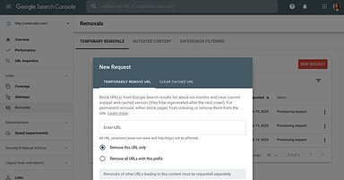 Google Makes it Possible to Temporarily Remove Sites From Search Results