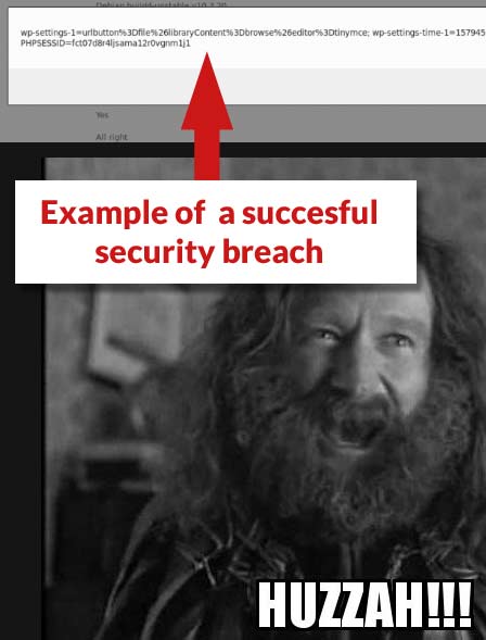 Screenshot from security company that discovered the vulnerability