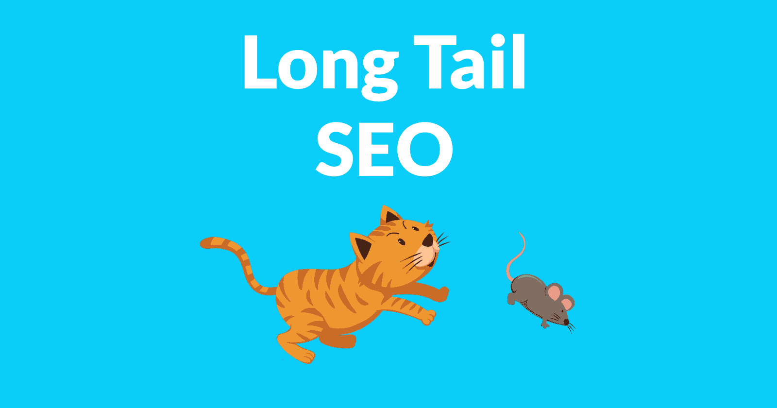 long tail seo