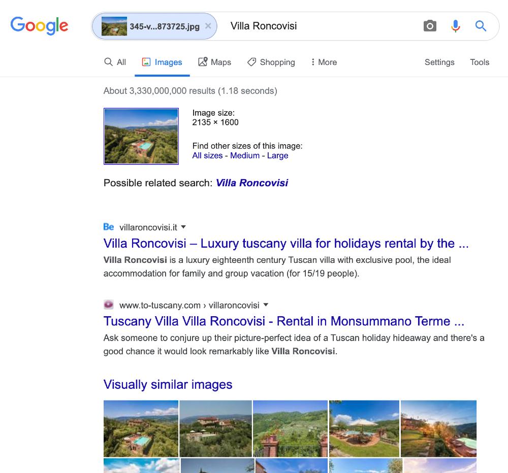 reverse image search