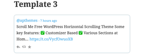AccessPress Twitter Feed Template 3
