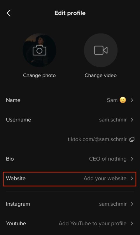 TikTok Begins Letting Some Users Add Website Links in Profiles