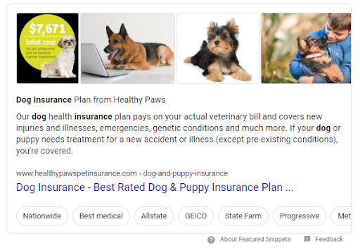 Dog insurance featured snippet