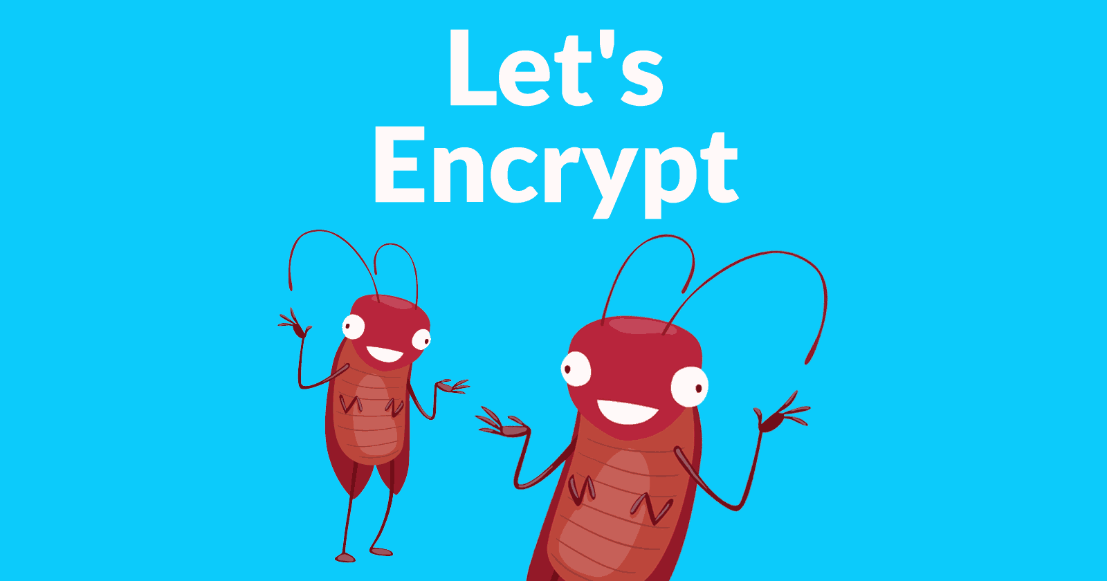 Image of two bugs with the words Let's Encrypt above them.