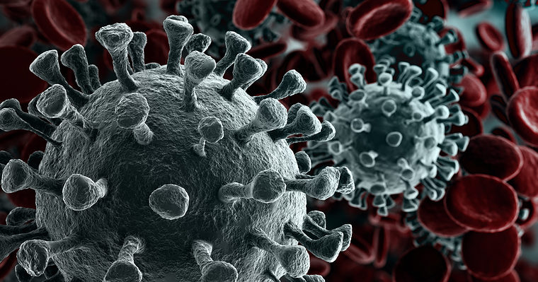 Google is Not Building a Coronavirus Testing Website