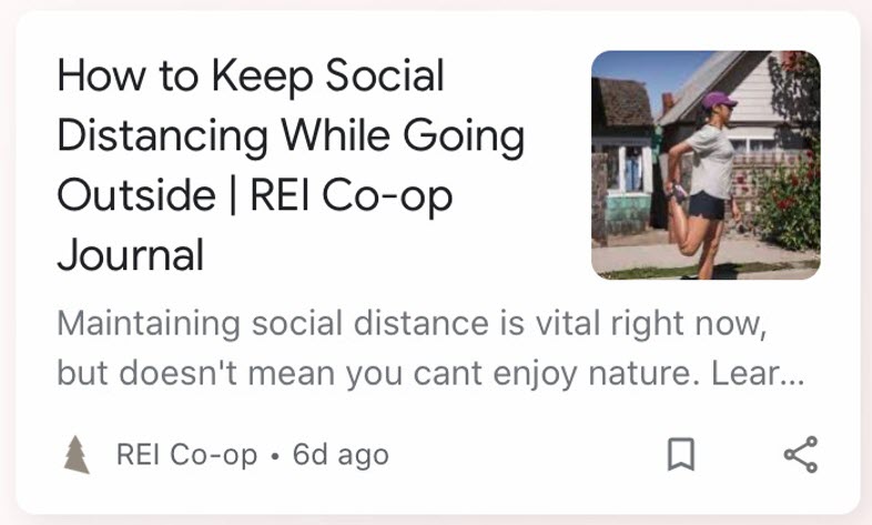 Google Discover REI Example