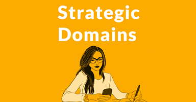 Strategic Domain Name Registrations