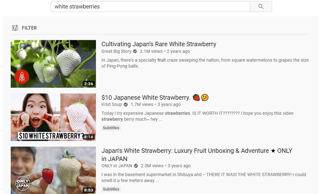 YouTube search for white strawberries