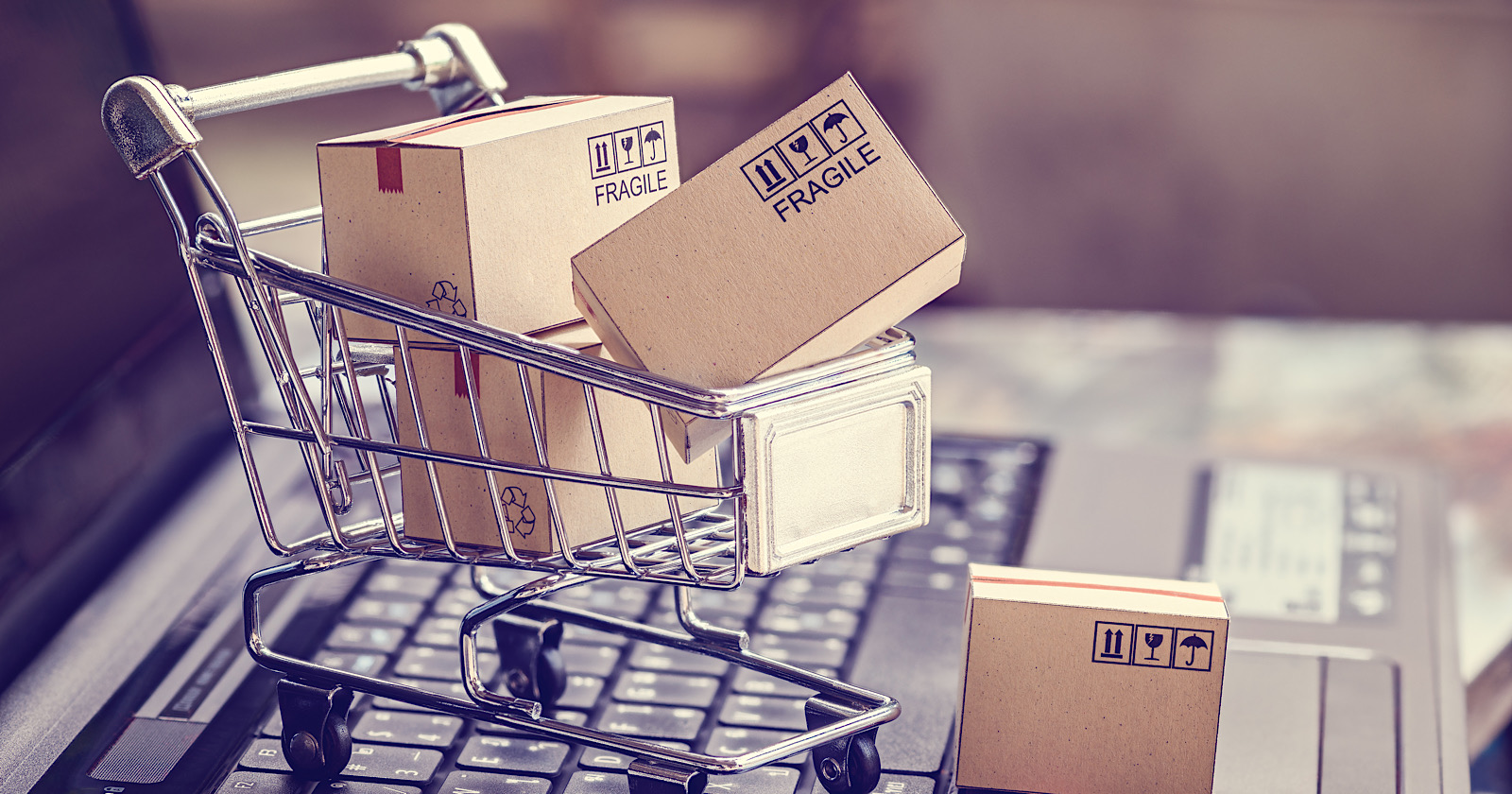 Google Reveals the Fastest Growing Product Categories in Search Results