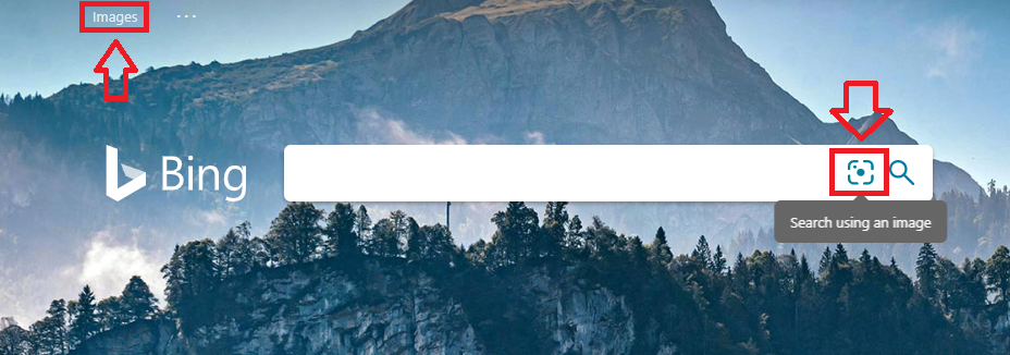 Bing поиск по картинке