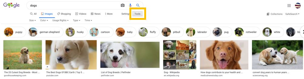 dog image search