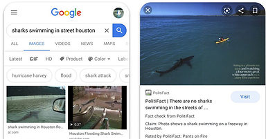 Google Adds ‘Fact Check’ Label to Image Search Results