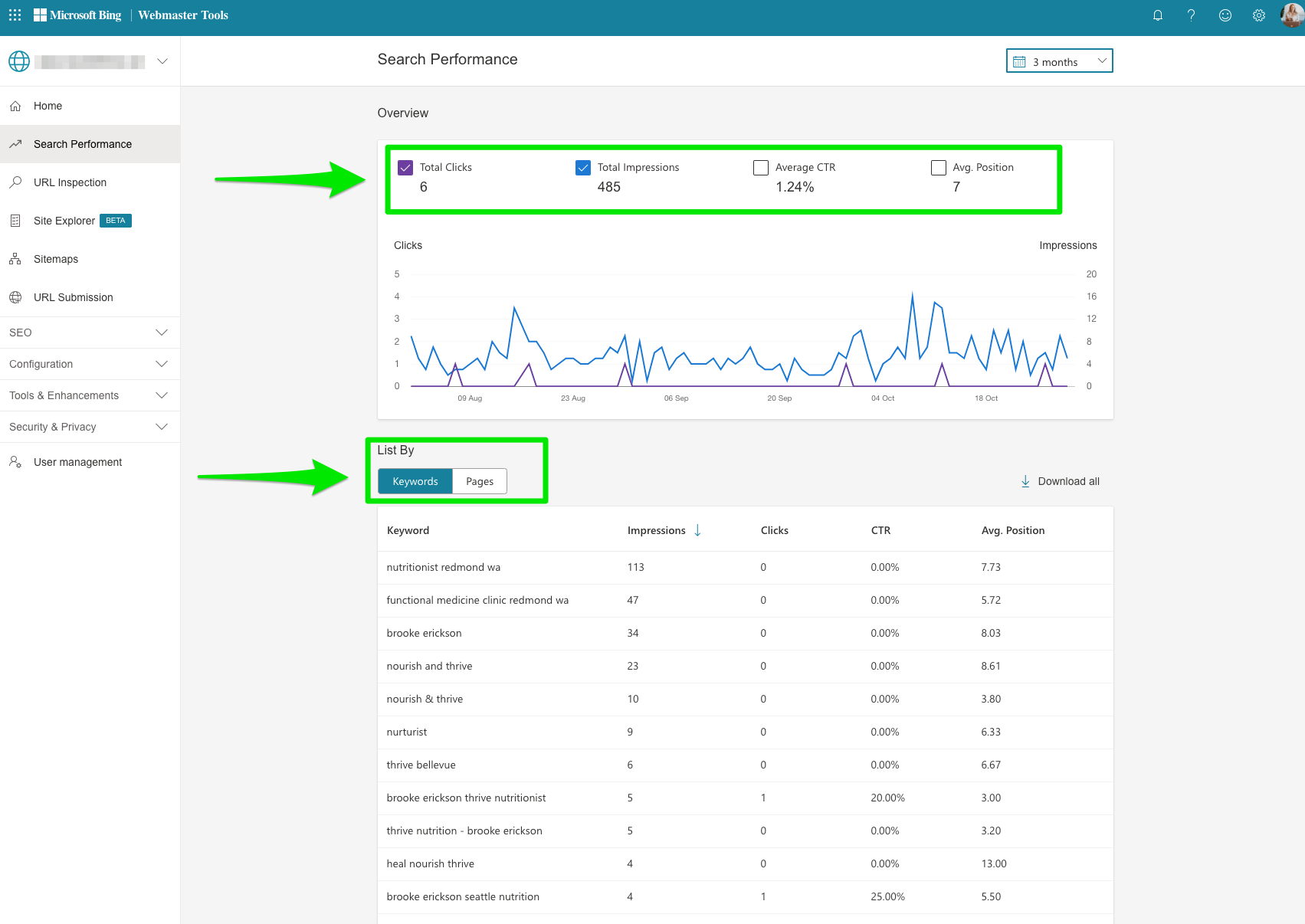 bing webmaster tools search performance