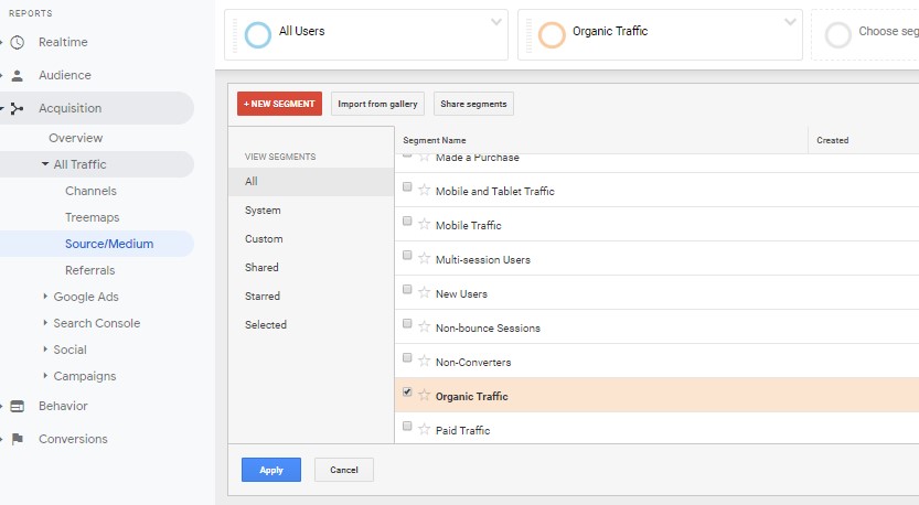 The Organic Segment In Google Analytics