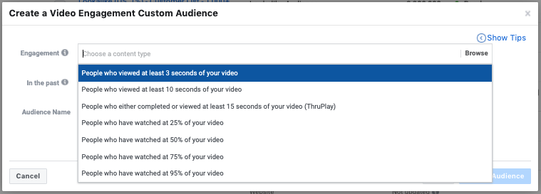 Facebook Ads Video Audience Creation