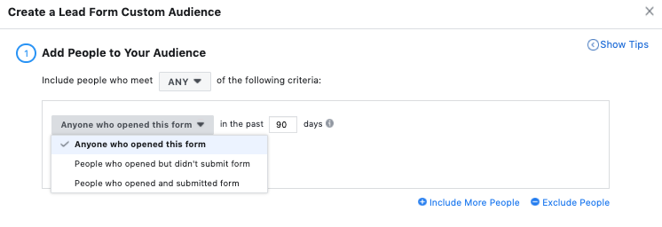 Facebook Ads Lead Gen Form Audiences