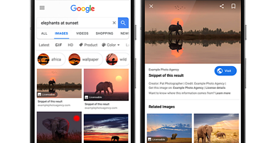 Google Shows “Licensable” Badges in Image Search Results